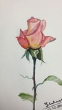 by Prof Ghaisas