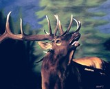 by Heather Farmstead