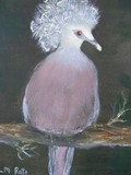 by lynette rate