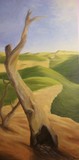 by Danielle McNeil