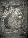 by timmy anderson