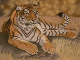 by sheral fry