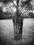 by Ropati Leaso-Cobb