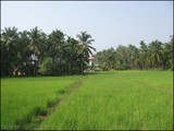 by Abhilash Vinayak