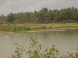 by kavitha Rajeevkumar