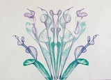by jill madgwick