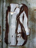 by Hava Kafri