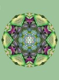 by Jane  Priser