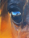 by els boedts