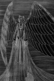 by Kyla Brown