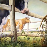 by Don Ponte