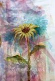 by Toneeke Runinwater Henderson