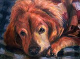 by Joan  Wulff