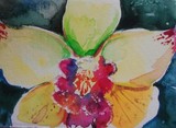 by Mary Vargas