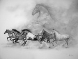 by Michael Bollerud