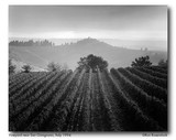 by Ron Rosenstock