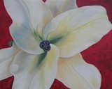 by Catherine Louise Cross