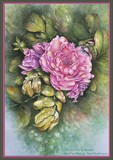 by Jan Howlett