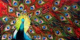 by Natasha Mylius