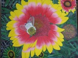 by Donna Buckalew-wagner