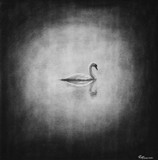 by Rupesh Patric