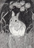 by Kim Kabat