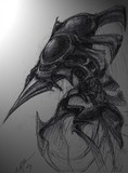 by Frank Crymble