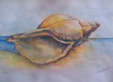 by Peter Caitoe