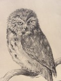 by Sarrah Dibble