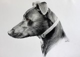 by Zile 