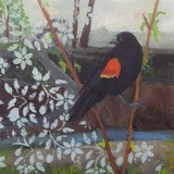 by Terri Jordan