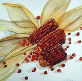 by Seeley Dopp