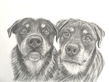 by Stacey Makar