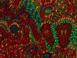 by samuel bohorquez