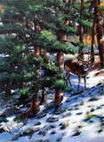 by Timm Kurtz