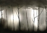 by jason flavell