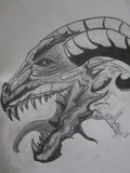by bogdan mezei