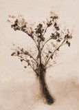 by Pavel Potocek