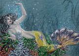 by Amy Kitchen