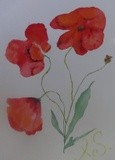 by Irina Stroup