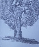 by Tshepiso Moeketsi
