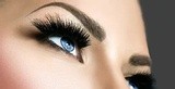 by british beauty