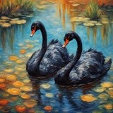 by Mihaela B