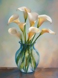 by Mihaela B