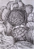 by Smiljan Holy