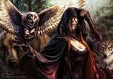 by Steve Argyle