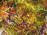 by Dawn Hough Sebaugh