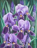 by Kathleen Brake
