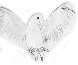 by  