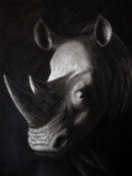 by Rand Arrington